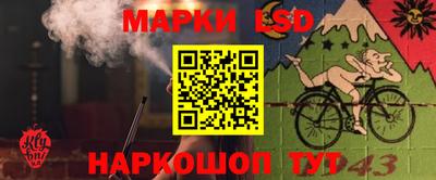 прущие крисы Партизанск