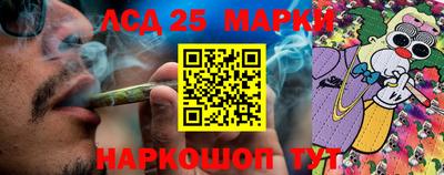 прущие крисы Партизанск
