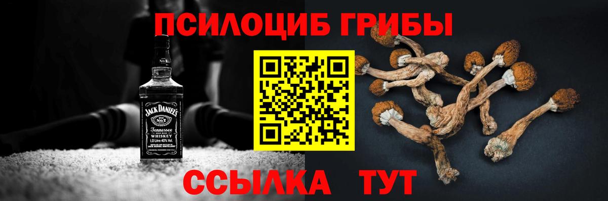 цены   Вход с VPN  Орёл  Галлюциногенные грибы ЛСД  Галлюциногенные грибы прущие грибы 